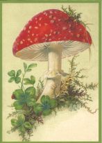 Card Mushroom red glitter