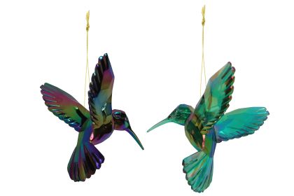 Acrylic Peacock Hummingbird Dec