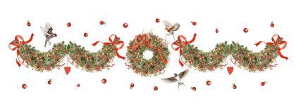 ТИШЛАЙФЕР - JANINE