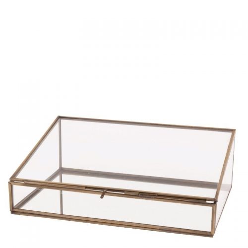 GLASS DISPLAY BOX