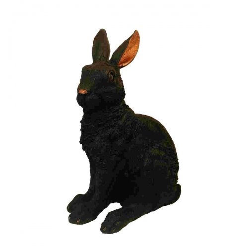 BLACK & GOLD RABBIT