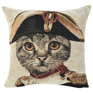 Chat Napoléon   