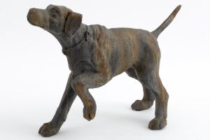 DOG BLAKELEY