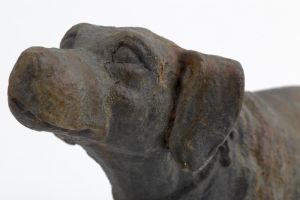 DOG BLAKELEY