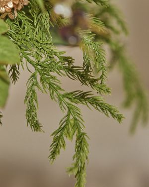 БОРОВА КЛОНКА