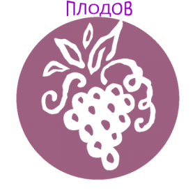 АРОМАТ - TUSCAN VINEYARD