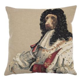 Gobelin cushion louis XIV 45x45cm