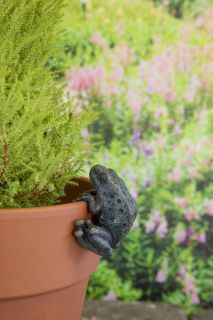 Frog Pot Hanger 