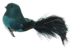 Feather bird w/ostrich tail blue-green 